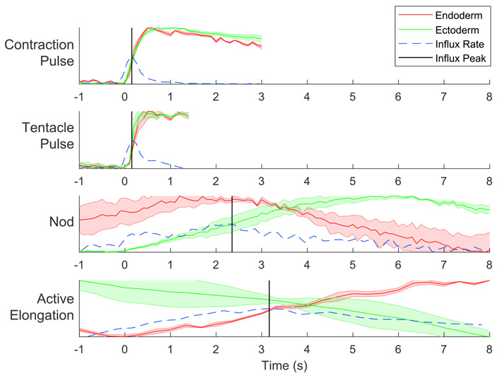 Кракен маркетплейс ссылка на сайт
