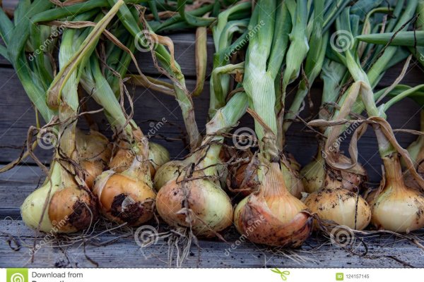 Где найти рабочую ссылку на кракен