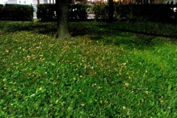 Что такое кракен плейс