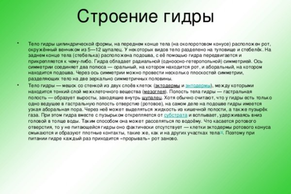 Зеркало на кракен