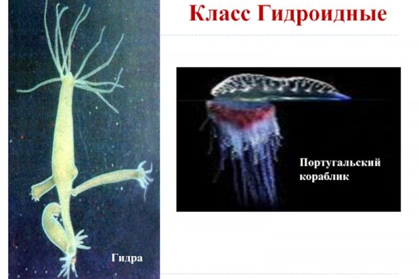Кракен что продается
