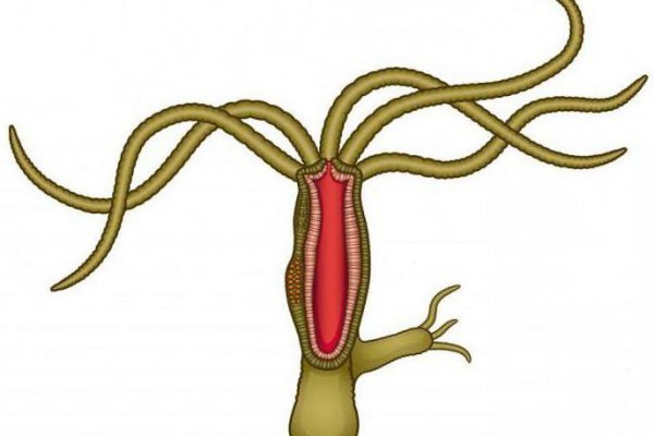 Kraken shop ссылка