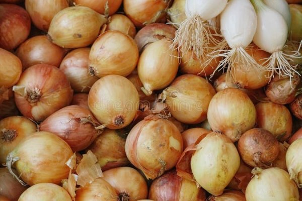 Можно ли восстановить аккаунт в кракен даркнет