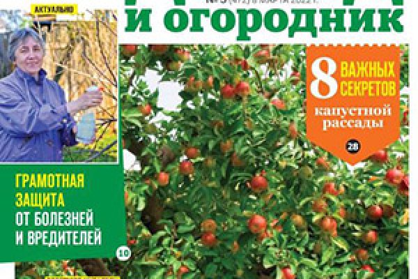 Где брать ссылки на кракен