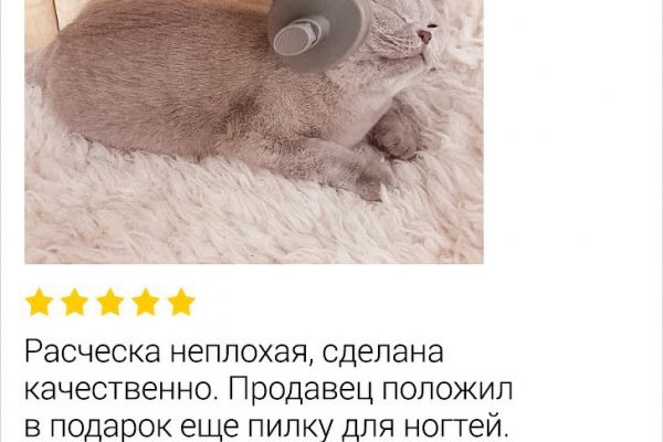 Пользователь не найден кракен даркнет
